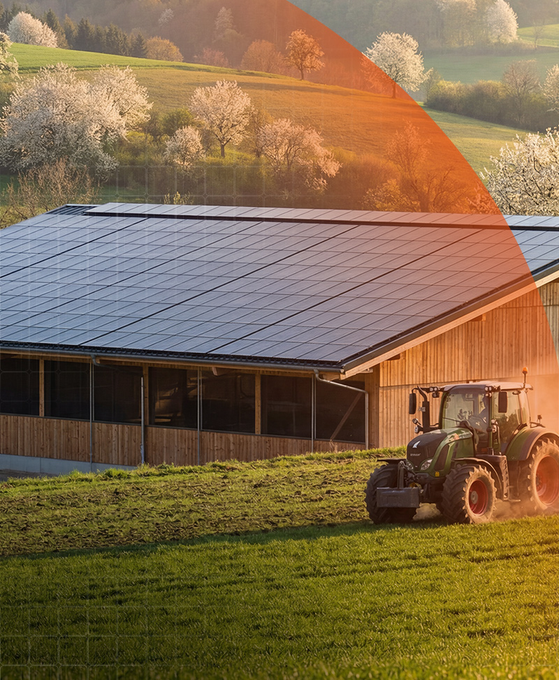 Installazione professionale di pannelli fotovoltaici su capannone agroalimentare